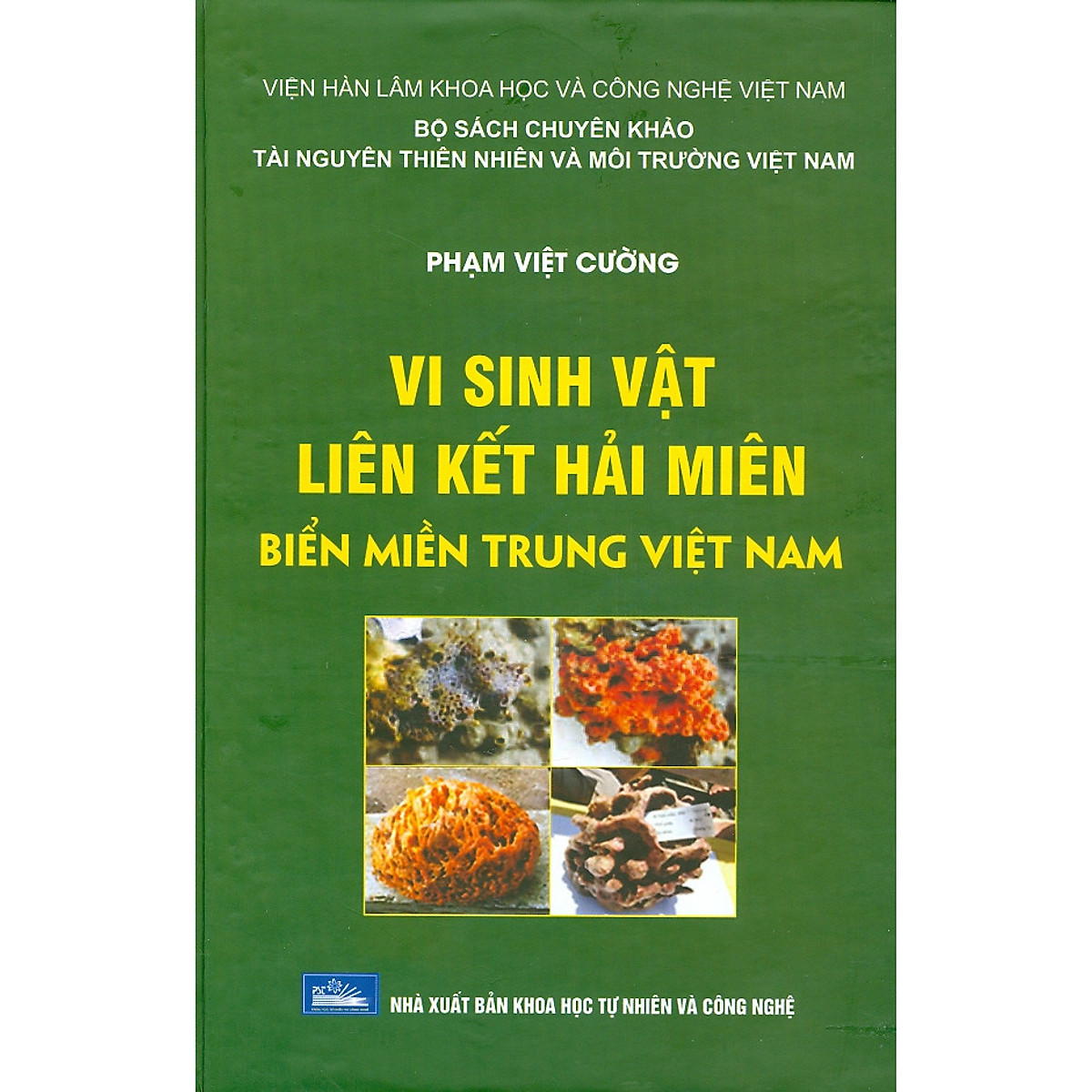 Vi Sinh Vật Liên Kết Hải Miên Biển Miền Trung Việt Nam