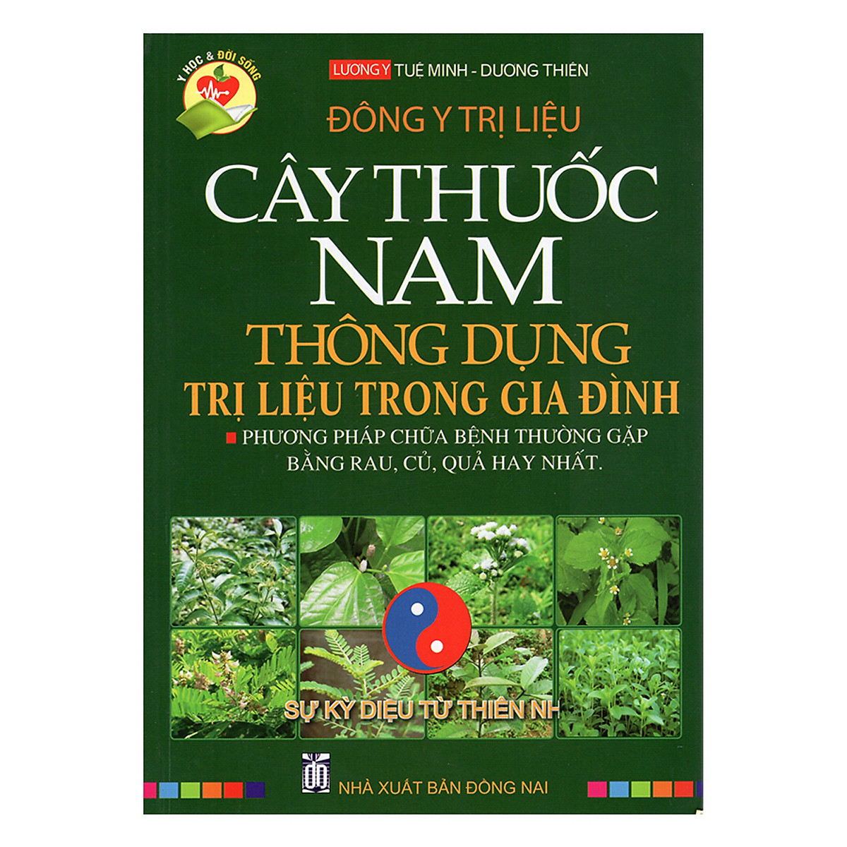 Đông Y Trị Liệu - Cây Thuốc Nam Thông Dụng Trị Liệu Trong Gia Đình