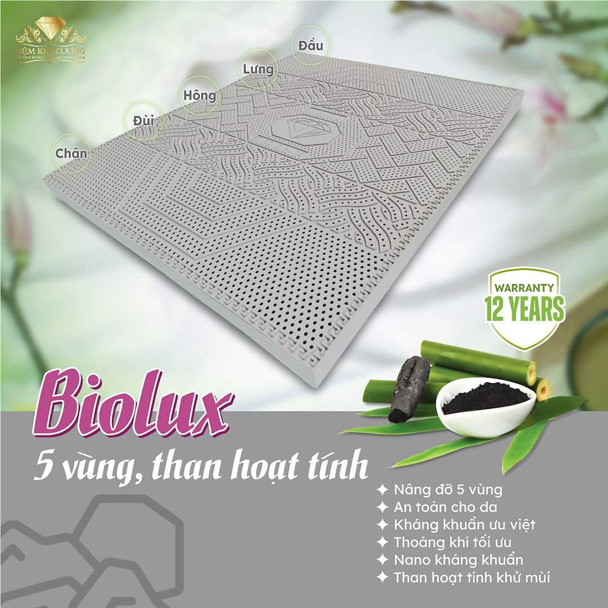Nệm Cao Su Kim Cương 5Zone Than Hoạt Tính BIOLUX
