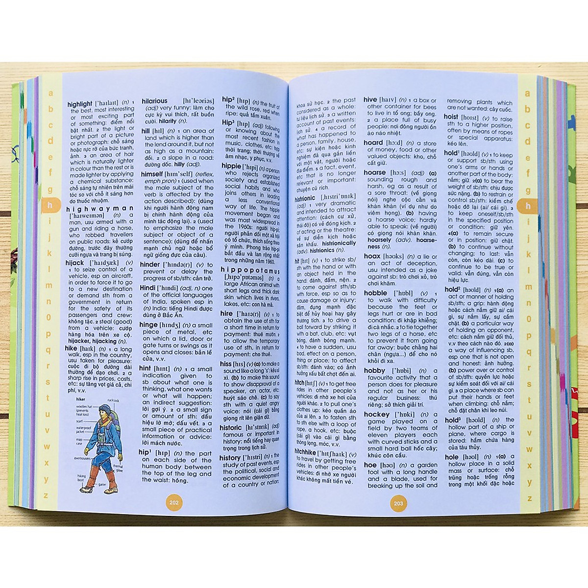 Sách: Từ điển Anh Việt - Sách học ngoại ngữ Minh Họa Từ Vựng Bằng Hình Ảnh Kích thích Thị Giác - Á Châu Books