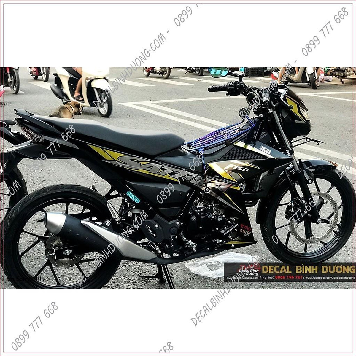 TEM RAIDER VÀNG ĐỒNG 2020  SUZUKI TRỌNG TÍN