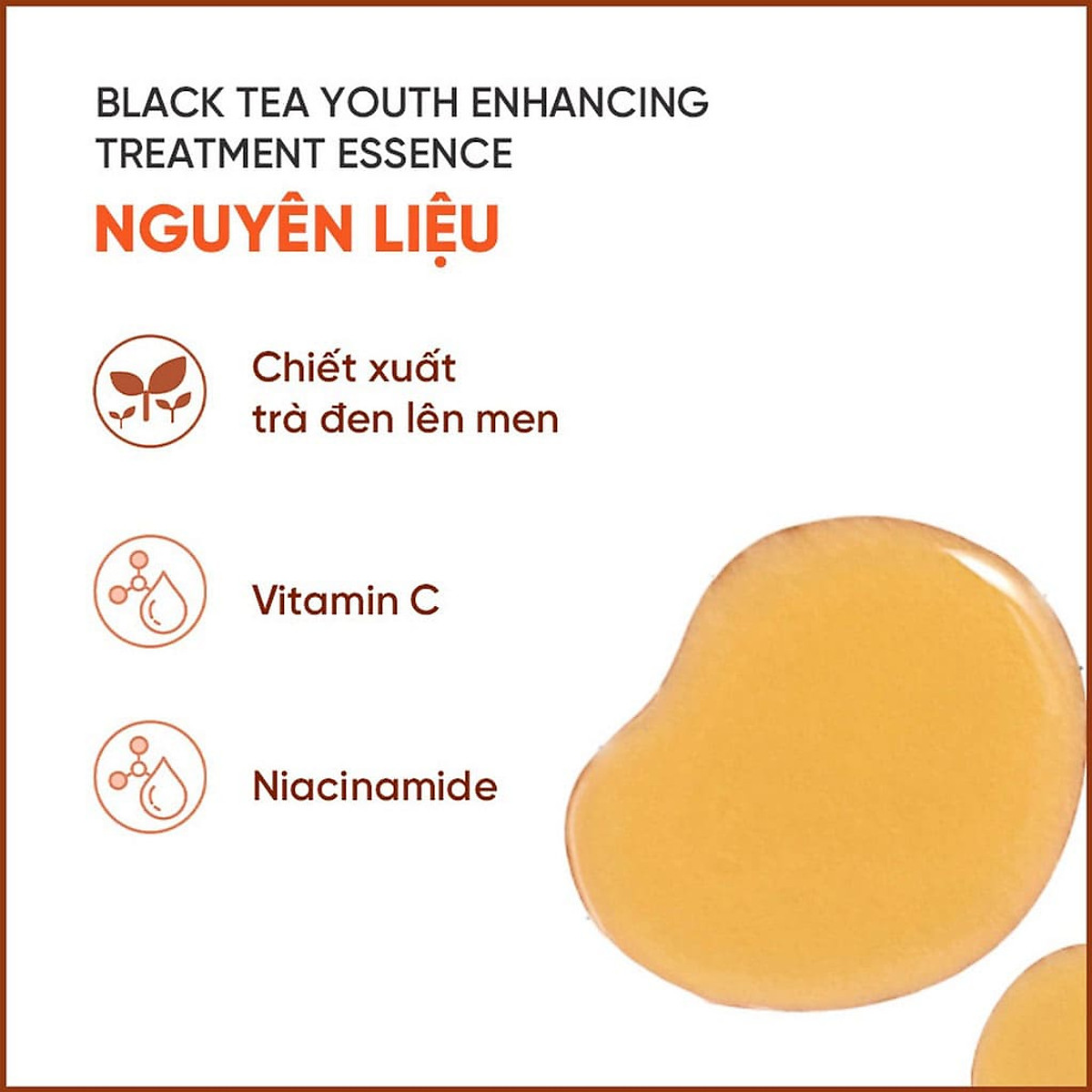 Nước dưỡng ngăn ngừa lão hóa từ trà đen innisfree Black tea Youth Enhancing Treatment Essence 75 mL (New 2023)