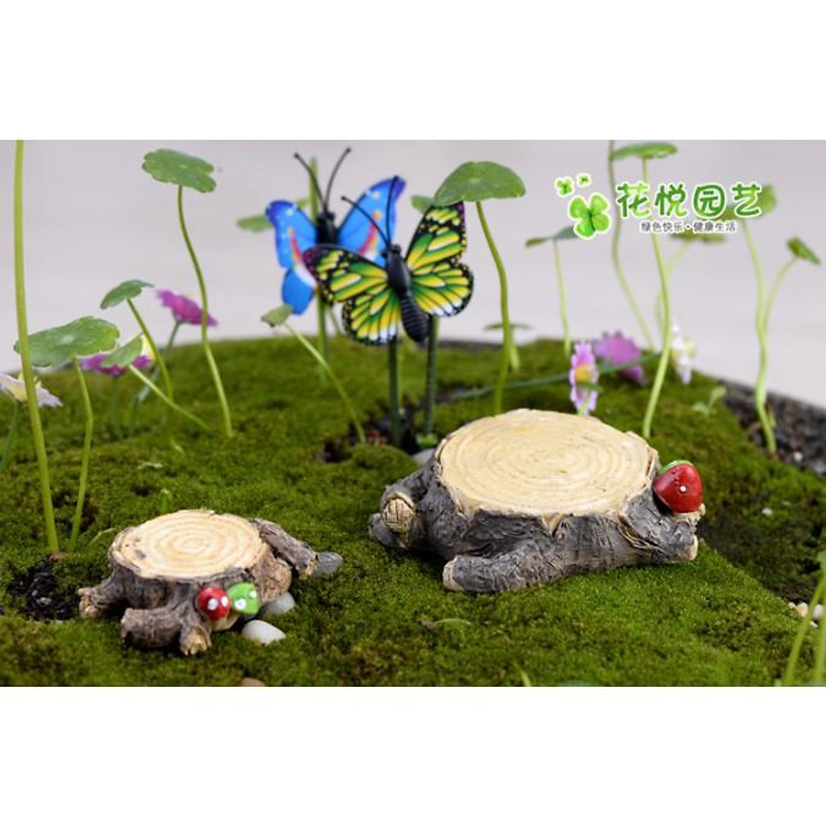 Shop bán phụ kiện trang trí tiểu cảnh Terrarium Tại TPHCM  LTII
