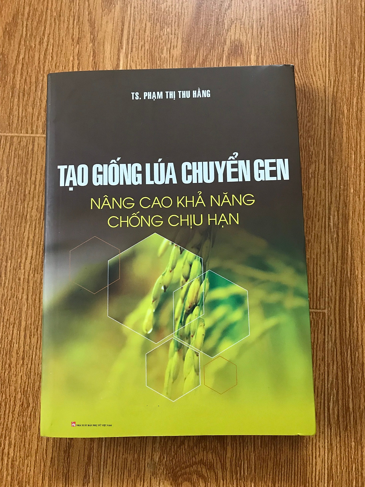 Tạo Giống Lúa Chuyển Gen Nâng Cao Khả Năng Chống Chịu Hạn (Sách Nông Nghiệp)