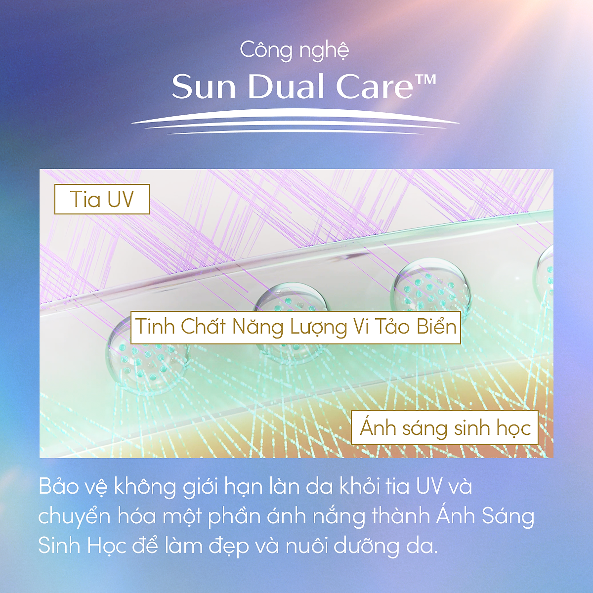 Serum chống nắng dưỡng da nâng tông Anessa Day Serum SPF50+ PA++++ 30ml