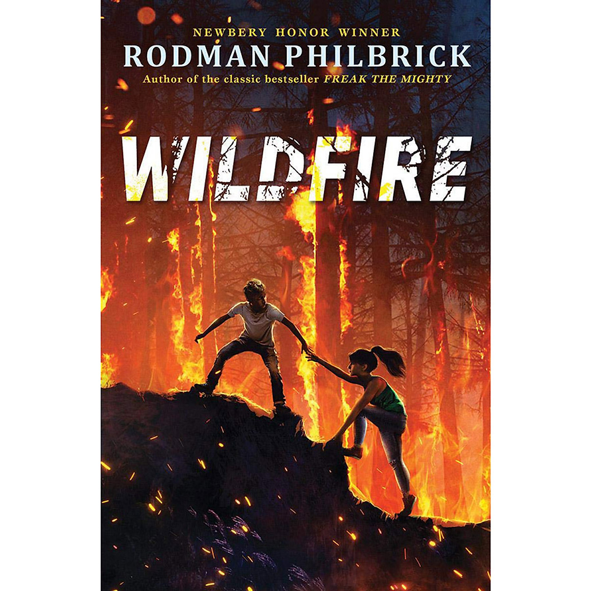 [Hàng thanh lý miễn đổi trả] Wildfire: A Novel (Hardcover)
