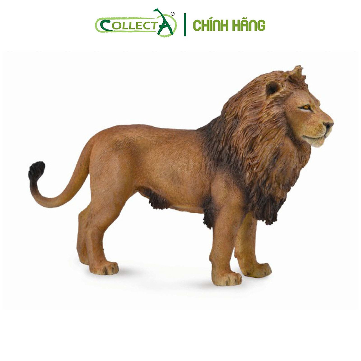 Cập nhật hơn 71 về mô hình lion mới nhất Cập nhật hơn 71 về mô hình lion mới nhất