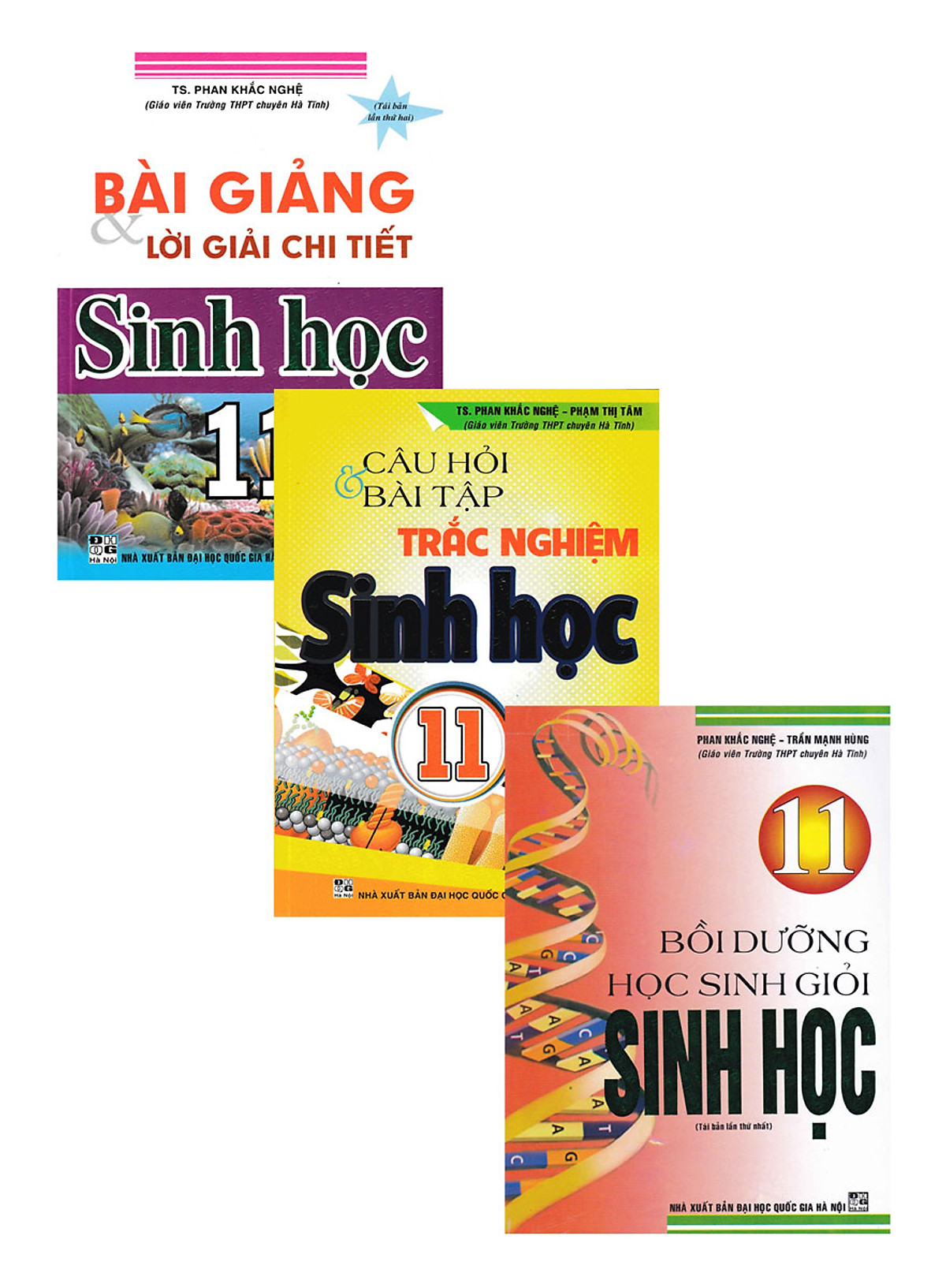 Combo Sách Hay Của Phan Khắc Nghệ: Bồi Dưỡng Học Sinh Giỏi Sinh Học 11 + Bài Giảng Và Lời Giải Chi Tiết Sinh Học 11 + Câu Hỏi Và Bài Tập Trắc Nghiệm Sinh Học 11 (Bộ 3 Cuốn)