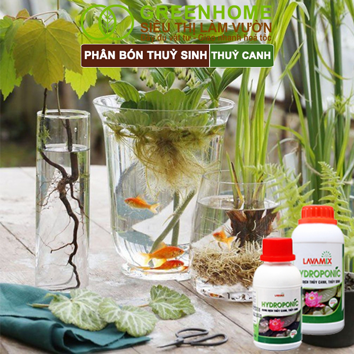 Dung Dịch Thủy Canh Greenhome, Lavamix, Phân Bón Cây Thuỷ Sinh, Hoa Sen, An Toàn Cho Cá, Tép Cảnh