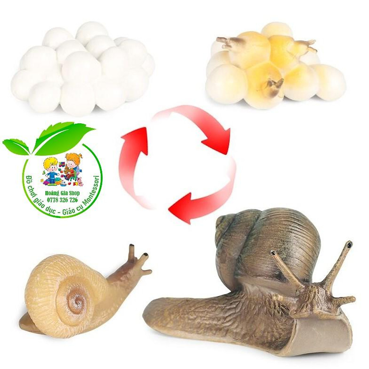Mô hình vòng đời sản phẩm product life cycle #4 Mô hình vòng đời sản phẩm product life cycle