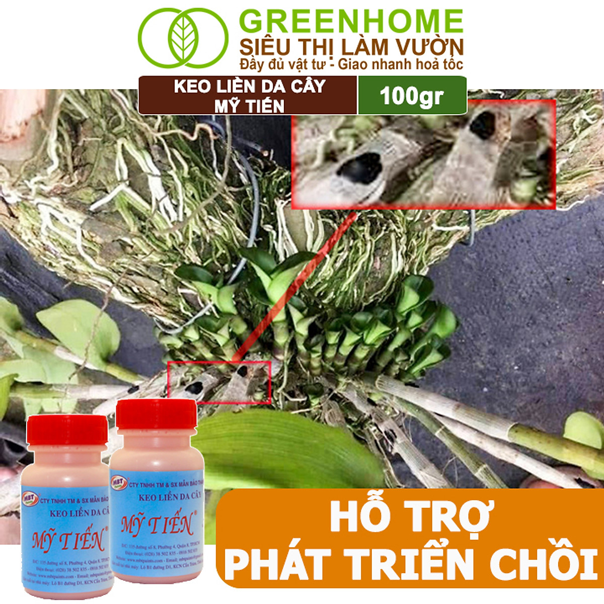 Keo Liền Sẹo Cho Cây Greenhome, Mỹ Tiến, Chai 100gr, Liền Nhanh Vết Cắt Da Cây, Chiết Cành, Tạo Dáng Bonsai, Lan, Kiểng