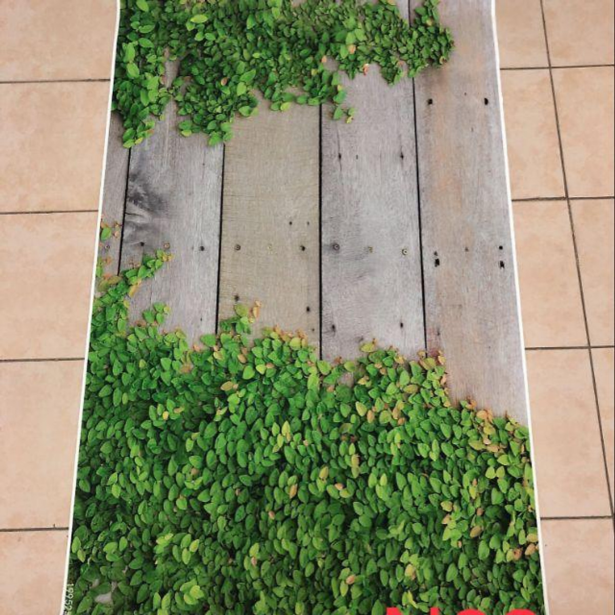Chi tiết 66 về hình nền sp mới nhất  trieuson5