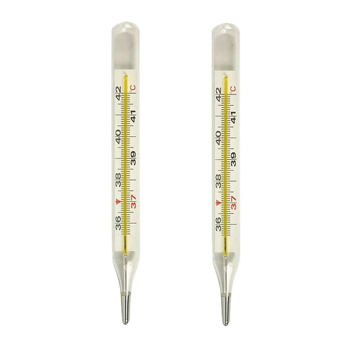 Nhiệt kế thủy ngân