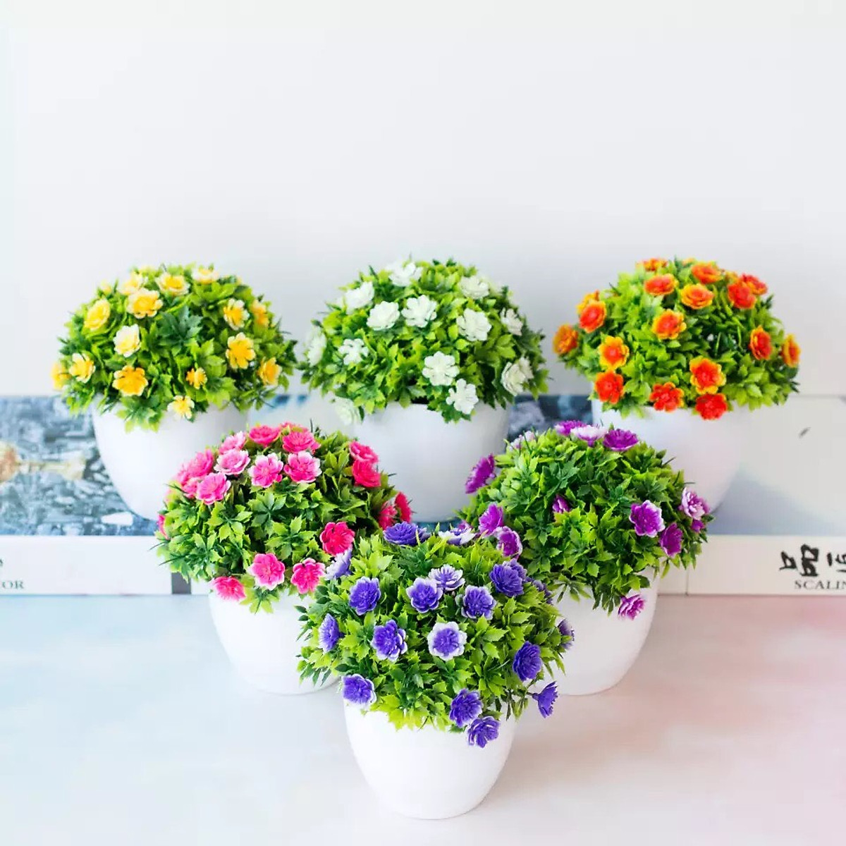 Mua Chậu cây hoa mini để bàn làm việc kích thước 15x14cm - 1 chậu đỏ tại Bachhoah2 | Tiki Mua Chậu Cây Hoa Mini Để Bàn Làm Việc Kích Thước 15X14Cm - 1 Chậu Đỏ Tại Bachhoah2 | Tiki
