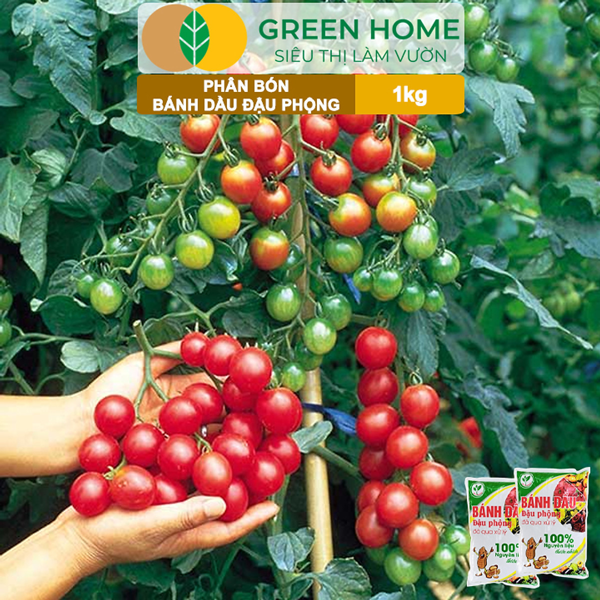 Bánh Dầu Đậu Phộng Greenhome, Bao 1kg, Phân Bón Hữu Cơ Hàm Lượng Đạm Cao, Chuyên Hoa, Rau, Củ, Quả, Kiểng