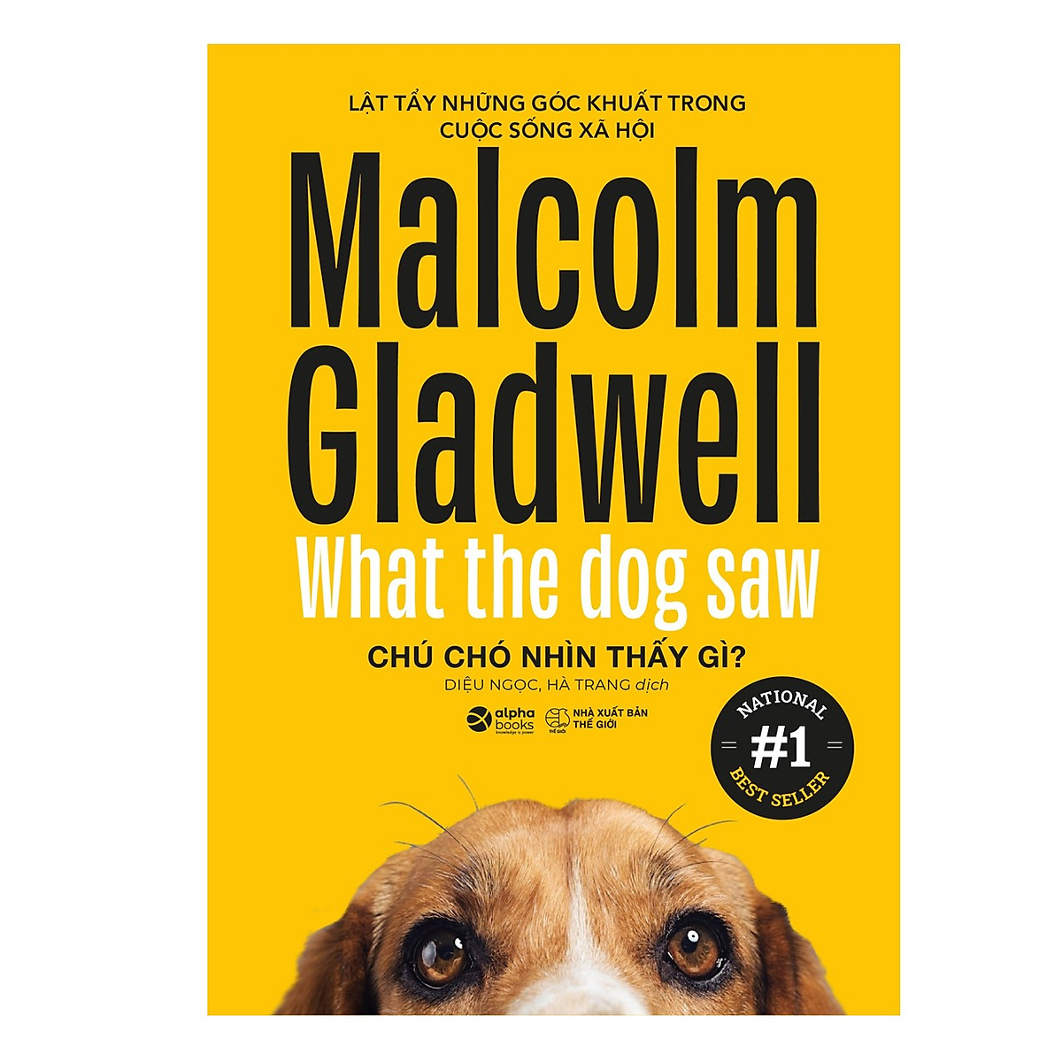 Trọn Bộ 6 Cuốn Sách Malcolm Gladwell: Những Kẻ Xuất Chúng + Điểm Bùng Phát + Trong Chớp Mắt + Chú Chó Nhìn Thấy Gì + David Và Goliath + Đọc Vị Người Lạ