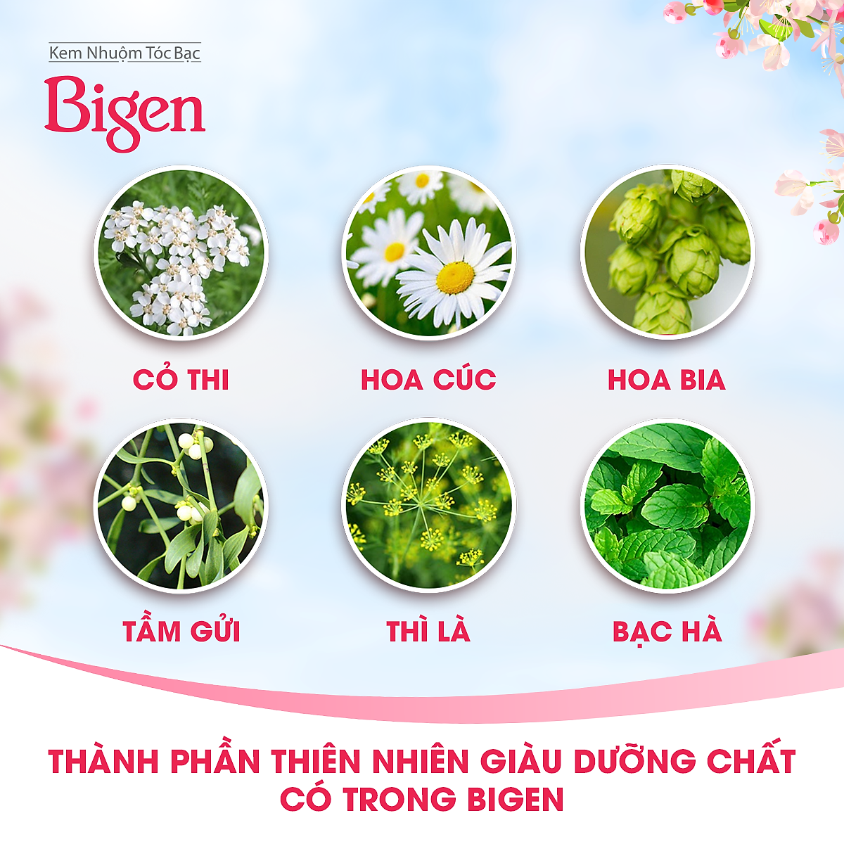 Thuốc nhuộm dưỡng tóc phủ bạc thảo dược Bigen Speedy Thương hiệu Nhật Bản 80ml dạng kem