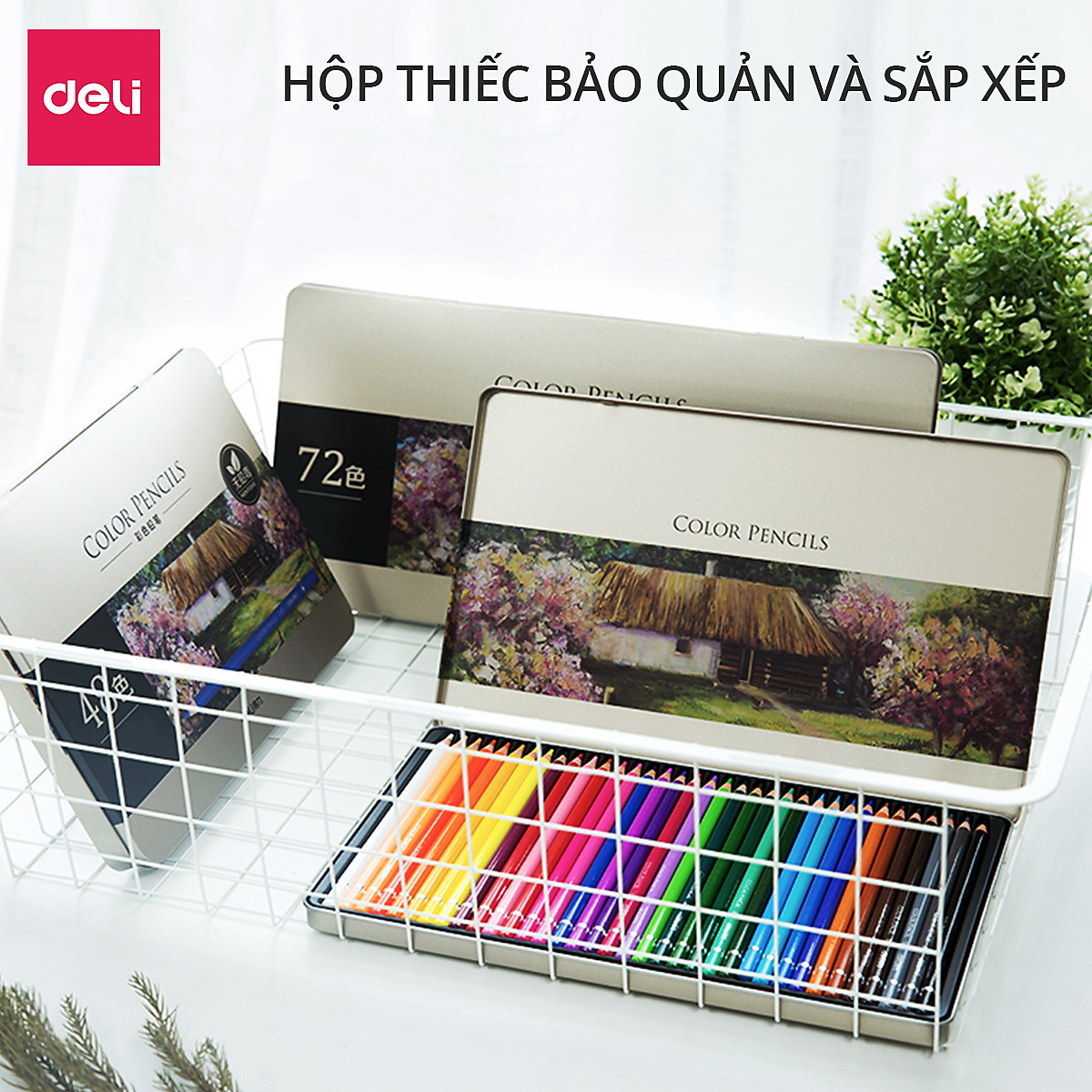 Bút chì màu gốc dầu cao cấp Deli - 6565 / 6566 / 6567
