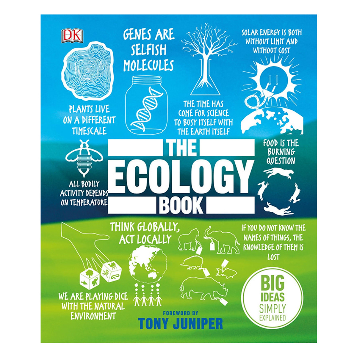 The Ecology Book: Big Ideas Simply Explained - Big Ideas (Hardback)