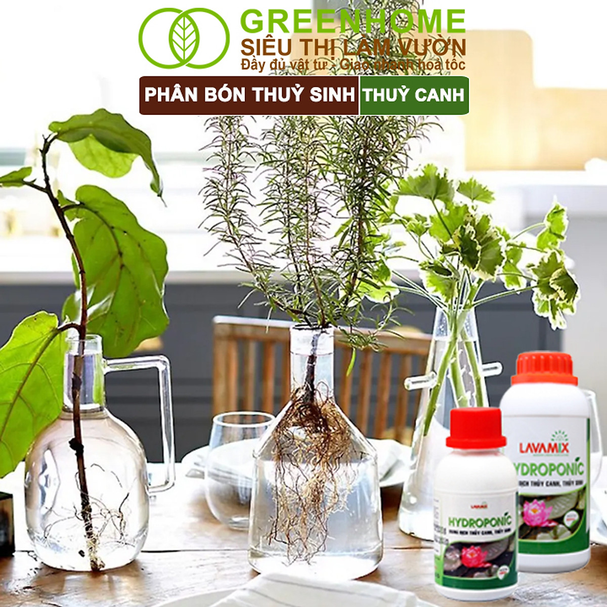 Dung Dịch Thủy Canh Greenhome, Lavamix, Phân Bón Cây Thuỷ Sinh, Hoa Sen, An Toàn Cho Cá, Tép Cảnh