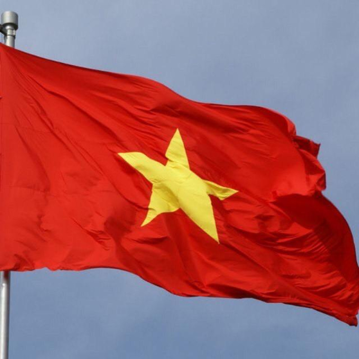 Lá Cờ Việt Nam, cờ Tổ Quốc 80x1m2 - Trang trí nhà cửa khác