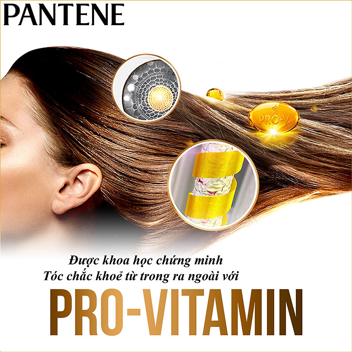 Dầu Gội PANTENE Chai 650ml/900ml/1.2L/1.8L