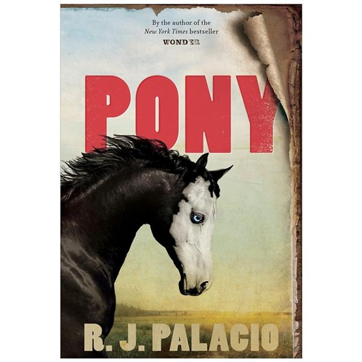 Pony