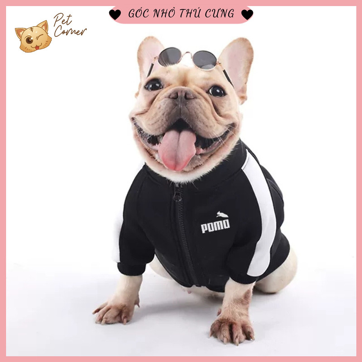 Mua Áo khoác thể thao cho chó mèo - Áo nỉ kéo khóa Pomo cho thú cưng - Màu Đỏ - L tại Pet Corner Góc nhỏ thú cưng Mua Áo Khoác Thể Thao Cho Chó Mèo - Áo Nỉ Kéo Khóa Pomo Cho Thú Cưng - Màu Đỏ - L Tại Pet Corner Góc Nhỏ Thú Cưng