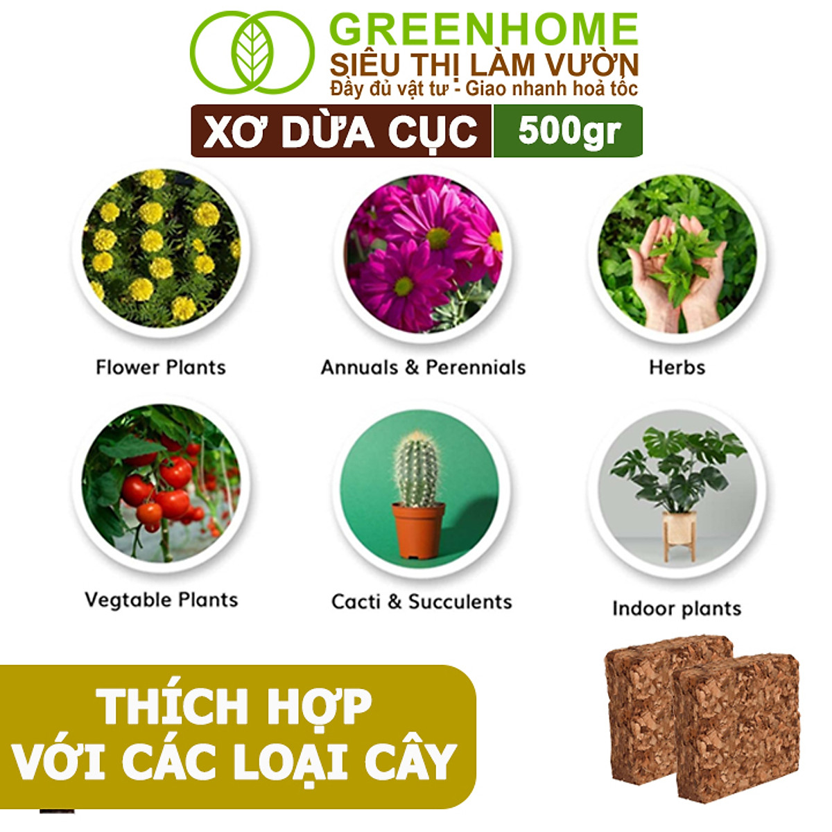 Xơ Dừa Cục Greenhome, Viên 500gr, Sơ Dừa Nén, Nở Gấp 5 Lần, Kích Thích Rễ, Thoát Nước Tốt Giá Thể Kiểng Lá, Phong Lan