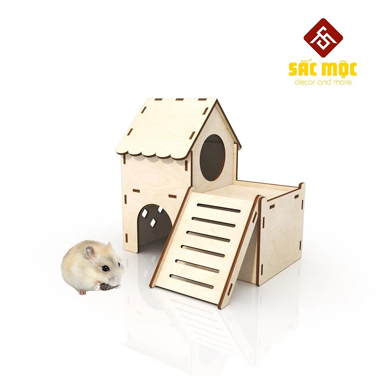 Mối nguy dịch bệnh từ chuột Hamster  Tuổi Trẻ Online