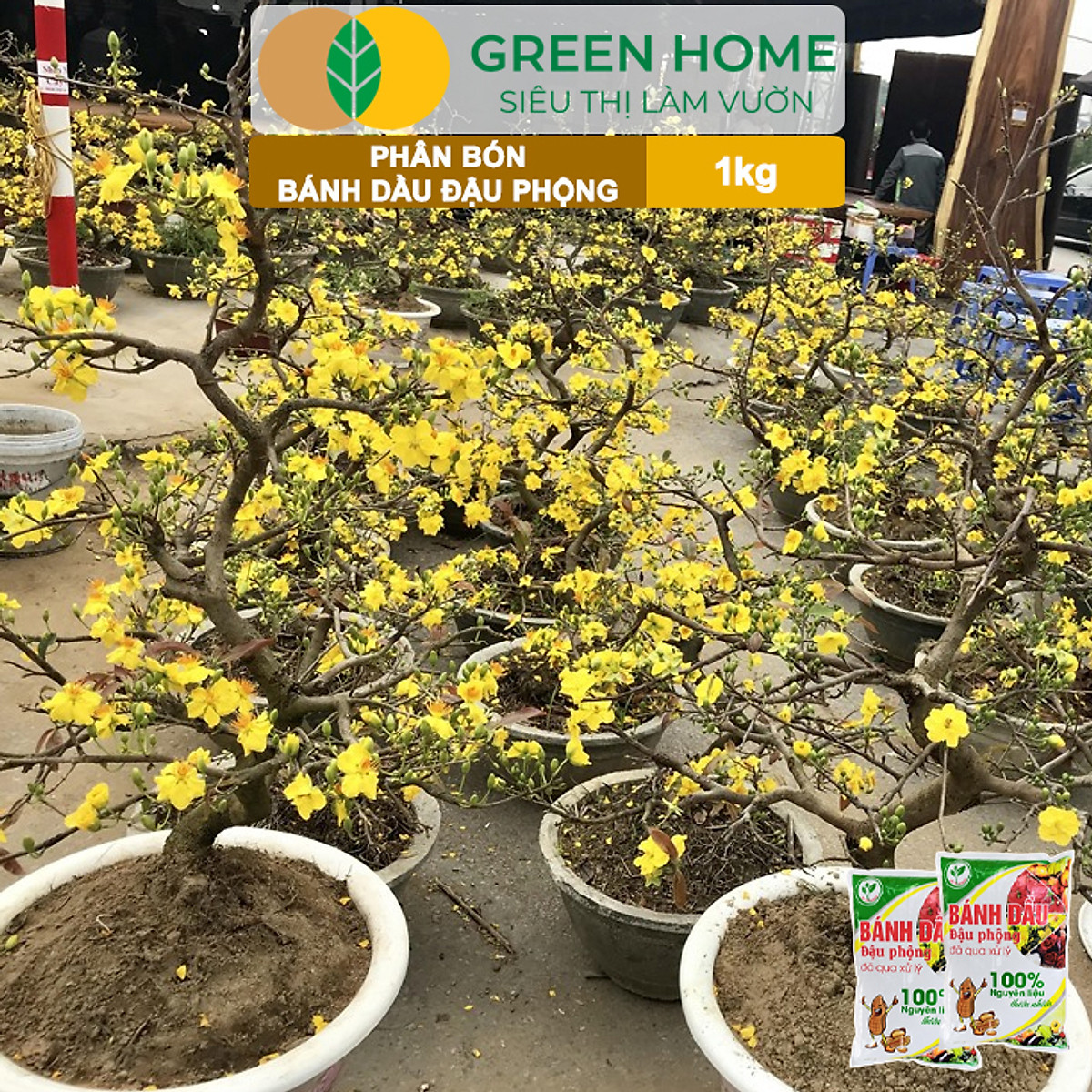 Bánh Dầu Đậu Phộng Greenhome, Bao 1kg, Phân Bón Hữu Cơ Hàm Lượng Đạm Cao, Chuyên Hoa, Rau, Củ, Quả, Kiểng