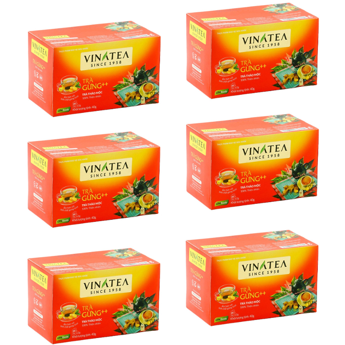 Combo 06 hộp Trà Vinatea - Trà gừng ++ túi lọc thuộc dòng trà thảo mộc ( 6  hộp * 40g) | Tiki