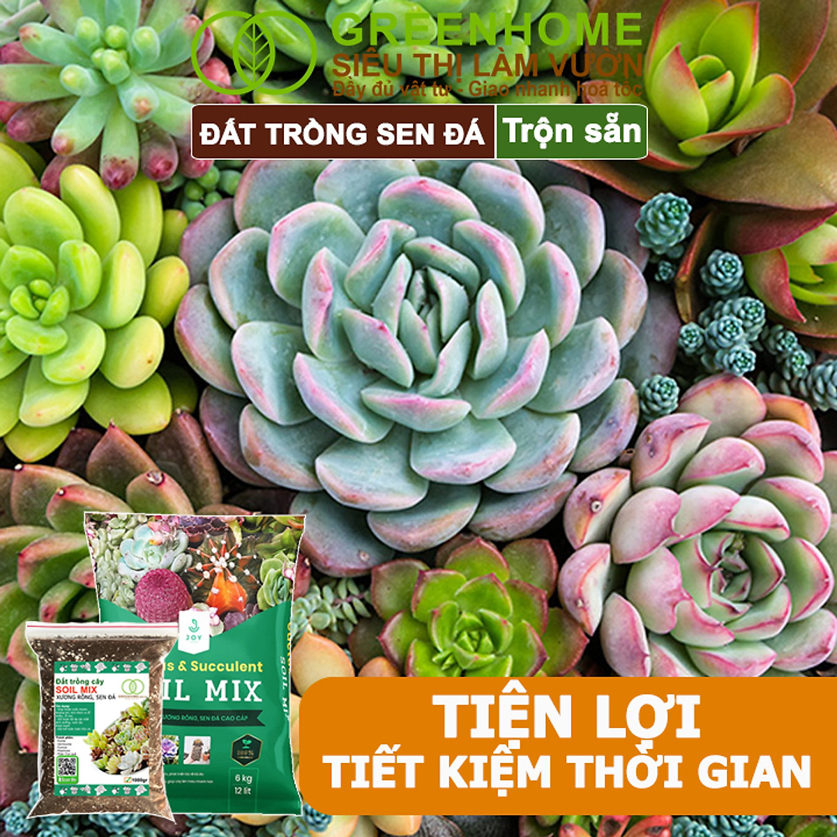 Đất Trồng Sen Đá Greenhome, Soil Mix, Bao 6kg, Trộn Sẵn, 85% Đá Khoáng, Phát Rễ Nhanh, Lên Màu Nhanh, Thoát Nước Tốt