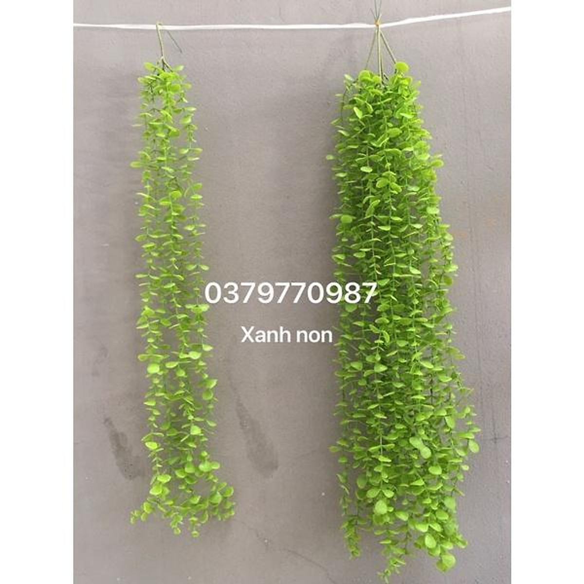 Dây leo giả cúc tần ấn độ Lá To dài 1m2- Cây giả - Hoa trang trí Dây Leo Giả Cúc Tần Ấn Độ Lá To Dài 1M2- Cây Giả - Hoa Trang Trí