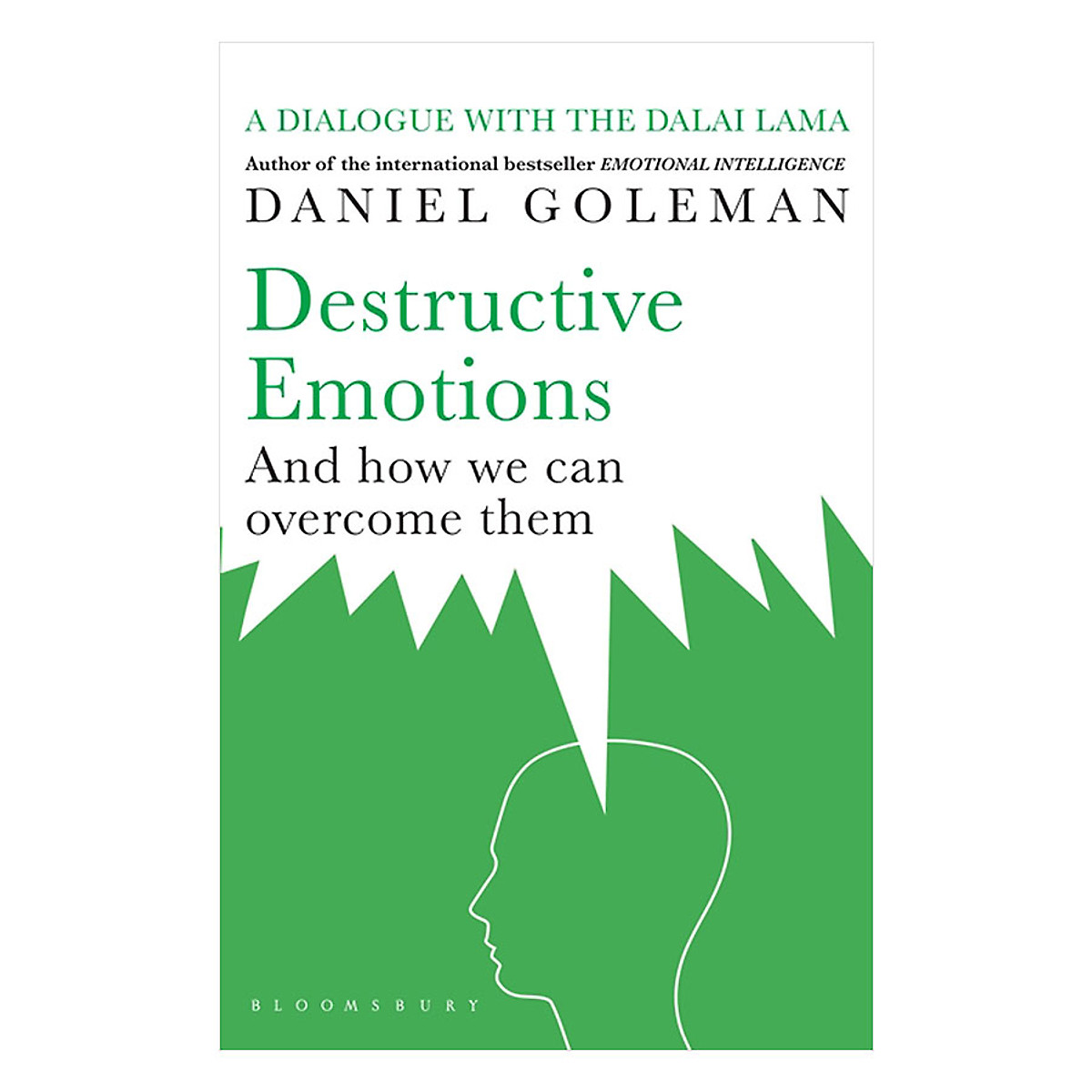 Destructive Emotions And How We Can Overcome Them