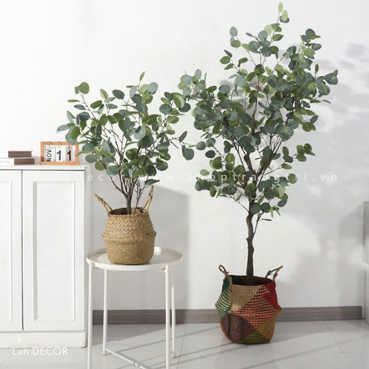Cây Bạch Đàn Lá Tròn Trang Trí(Các Size 85Cm, 130Cm, 165Cm) | Tiki