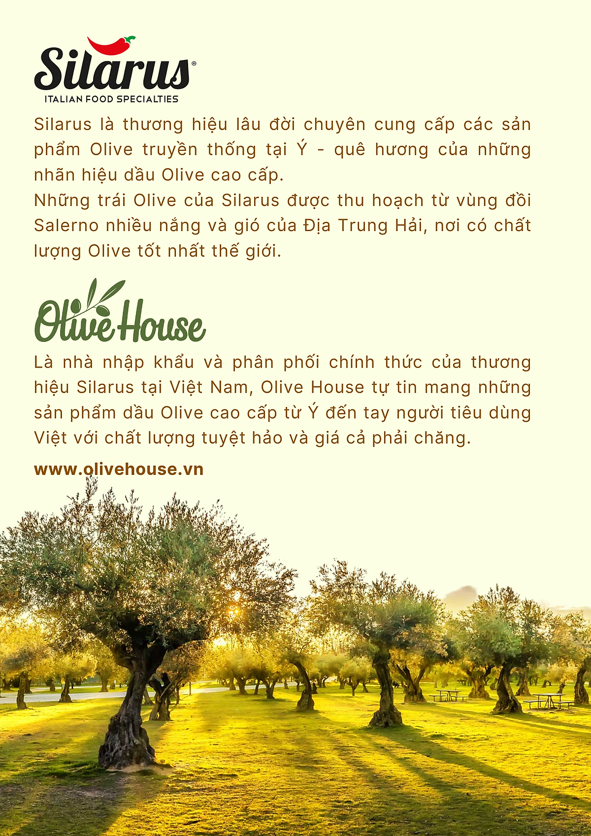 Dầu Olive Pomace Silarus 1L cao cấp, dùng chiên rán, nấu ăn, giảm chất béo có hại - thương hiệu Silarus nhập khẩu 100% từ Ý