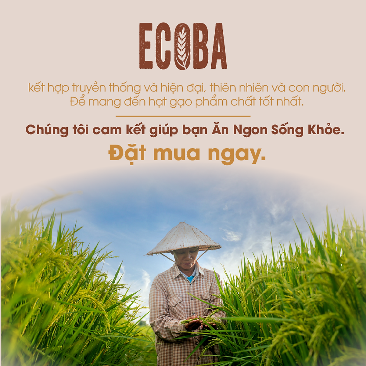 Gạo lứt nâu hữu cơ cao cấp/ECOBA Kim Mễ 1kg - Gạo lứt giảm cân - Cơm ngon mềm dẻo