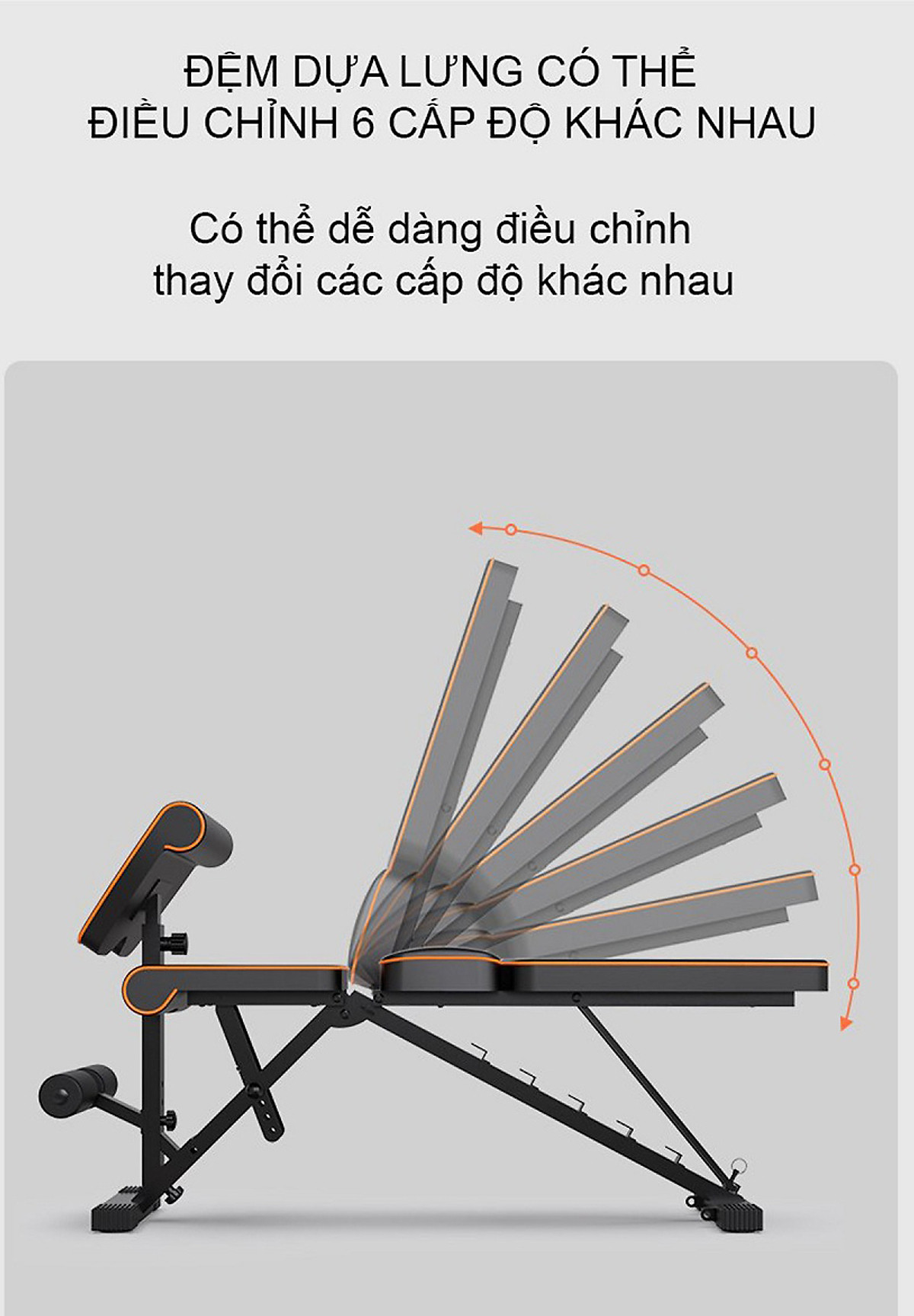 Ghế Tập Tạ Đa Năng Điều Chỉnh FED002 Nhập Khẩu Cao Cấp Chịu Lực 300kg