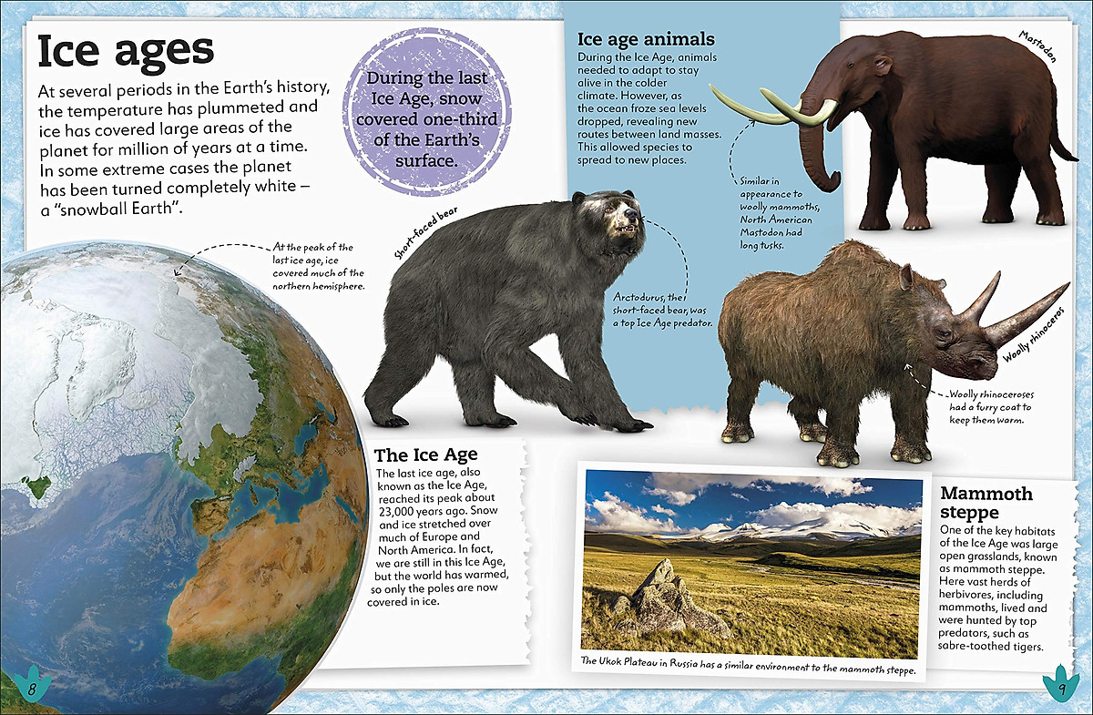 My Book Of Dinosaurs And Prehistoric Life: Animals And Plants To Amaze, Surprise, And Astonish! My Book Of Dinosaurs And Prehistoric Life: Animals And Plants To Amaze, Surprise, And Astonish!
