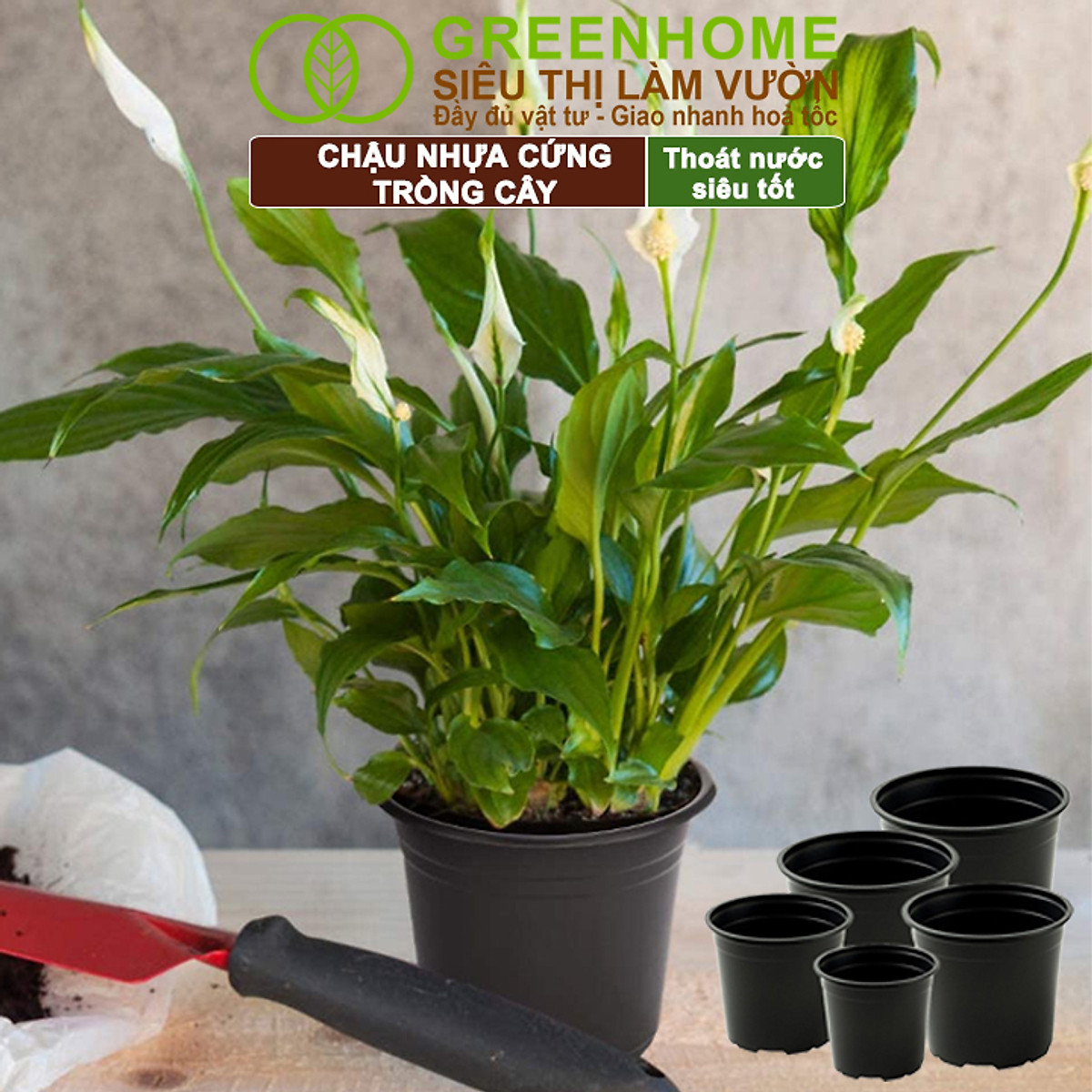 Bộ 3 Chậu nhựa trồng cây, nhiều kích thước, thoát nước tốt, đa dạng kích thước trồng cây, hoa, kiểng lá |Greenhome