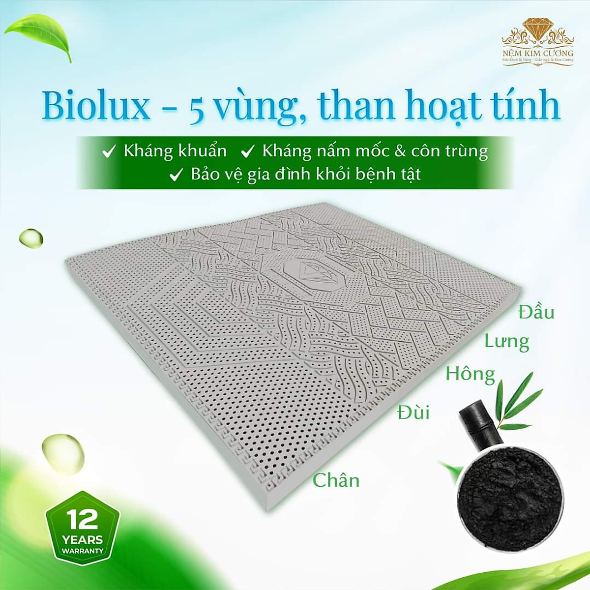 Nệm Cao Su Kim Cương 5Zone Than Hoạt Tính BIOLUX