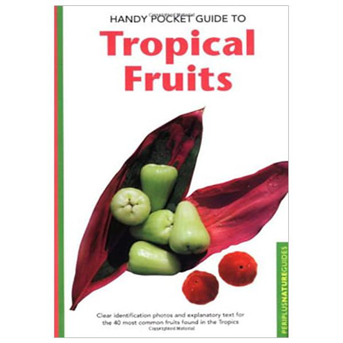 Handy Pocket Guide to Tropical Fruits