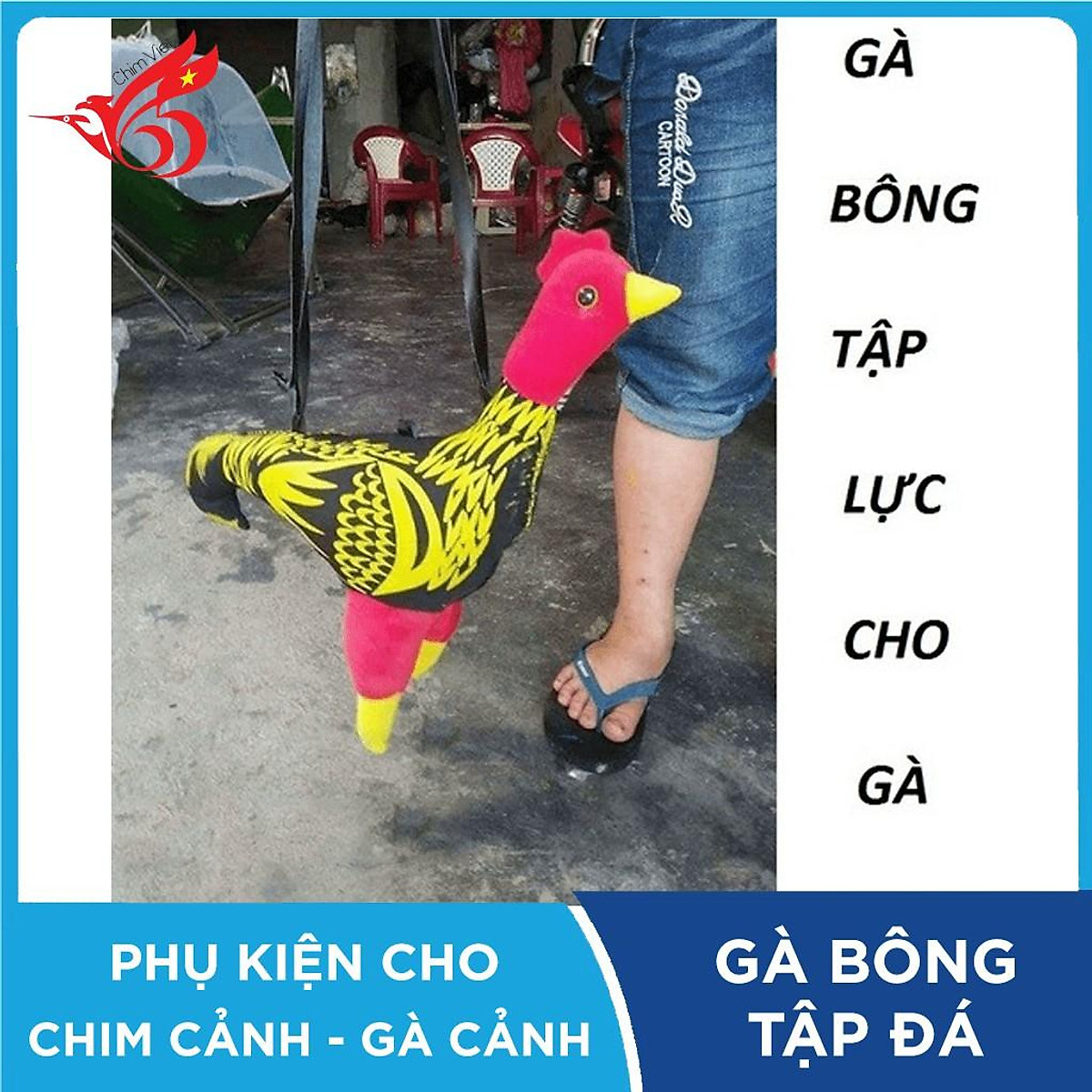 Gà vải tập lực Gà vải luyện tập cho gà chọi, gà đá tập luyện, gà