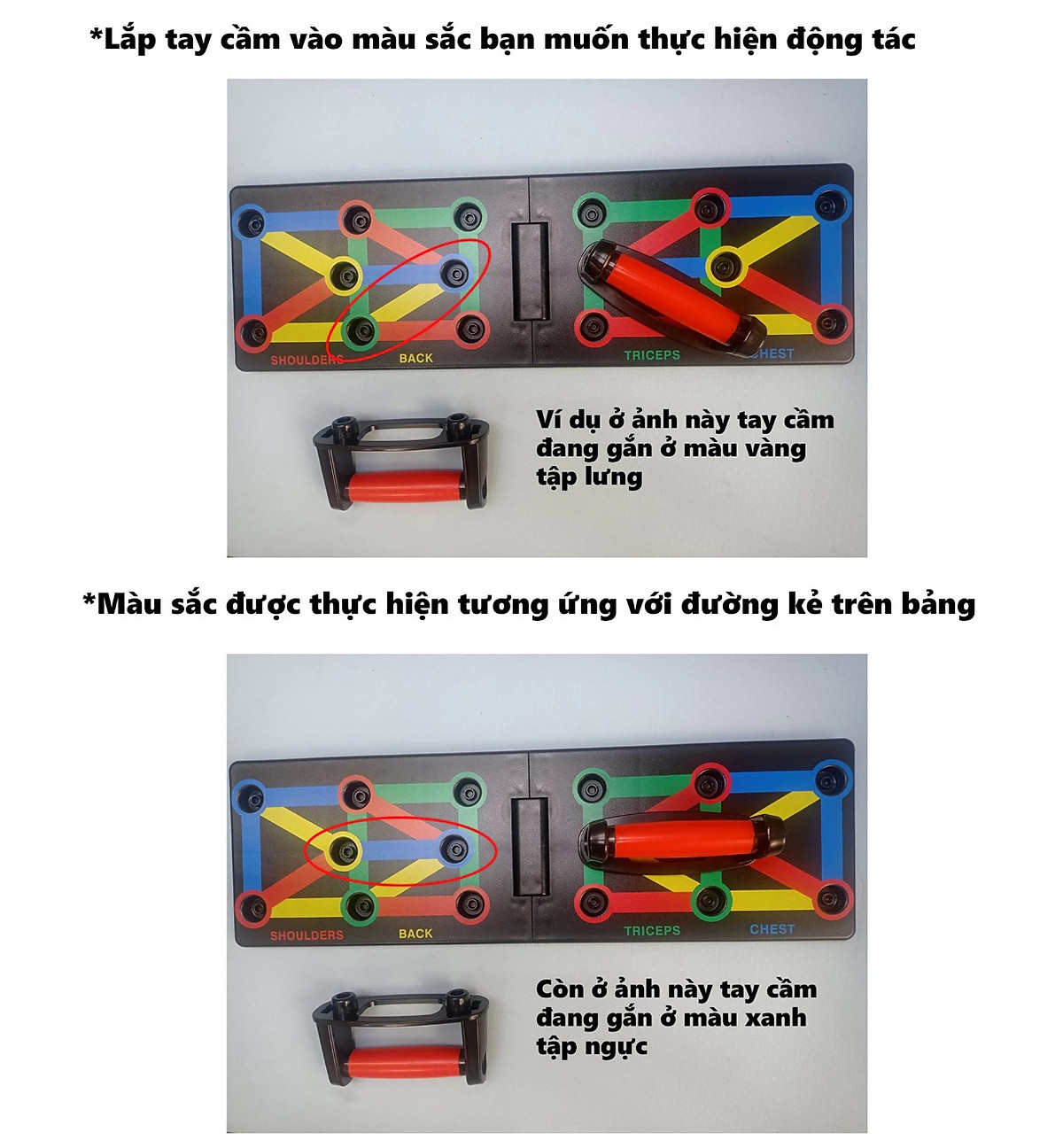 Bảng Dụng Cụ Tập Hít Đất , Tập Chống Đẩy Theo Màu Sắc, Mỗi Màu Sắc Sẽ Tương Ứng Với Bài Tập Khác Nhau Thiết Kế Dày Nhiều Bài Tập - Hàng Chính Hãng BORO SPORT