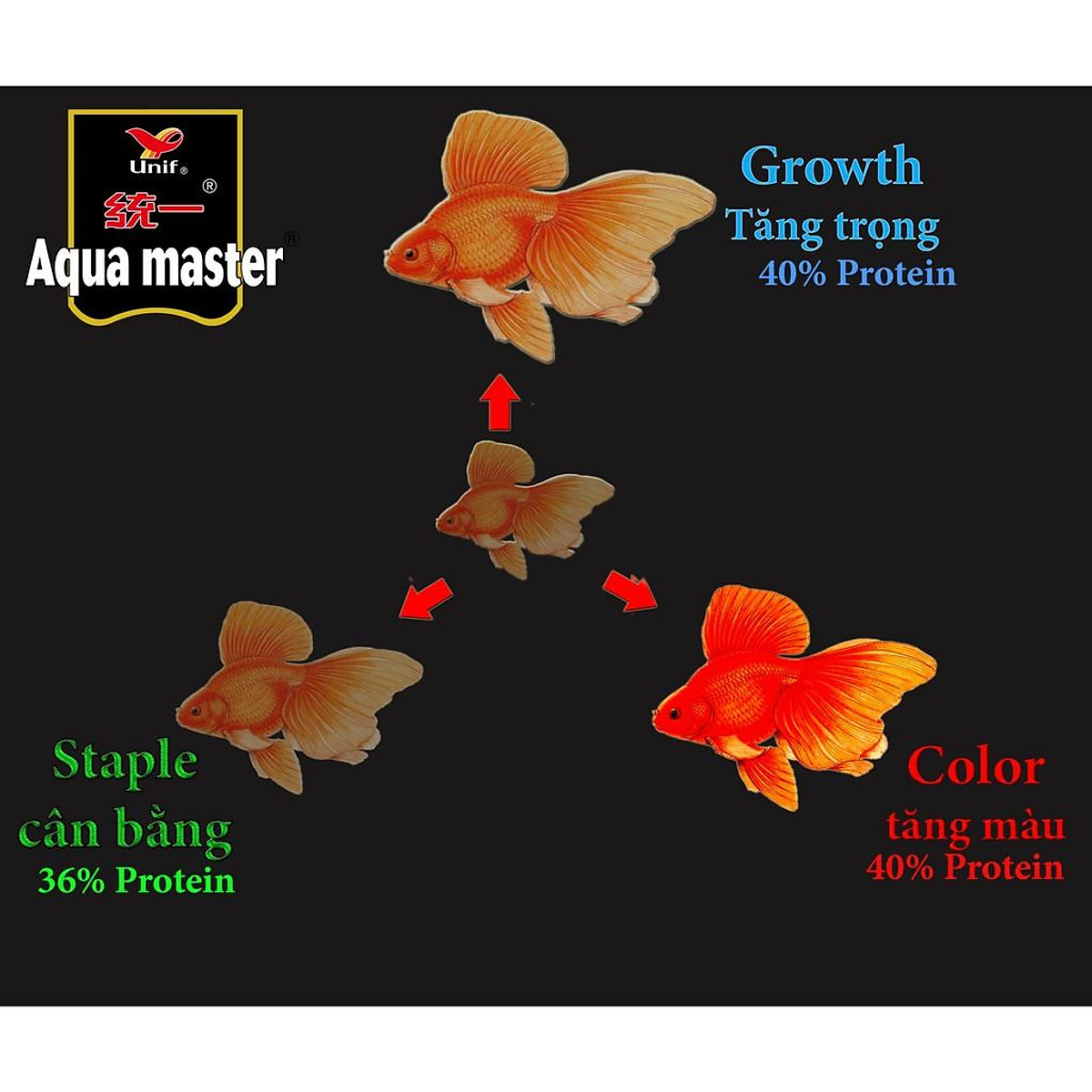 Cám cá vàngthức ăn cho cá vàng ba đuôi ranchu AQUAMASTER goldfish ...