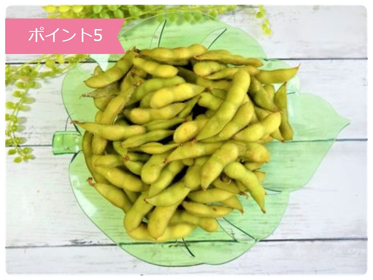 Combo 03 Đĩa nhựa pha lê màu xanh hình chiếc lá Yamada Nội địa Nhật Bản