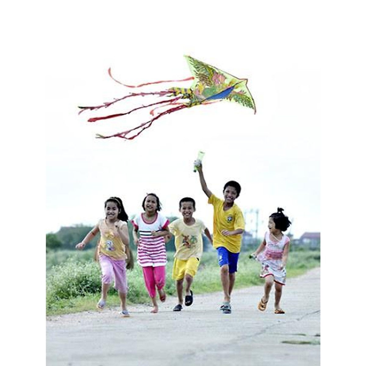 Đồ Chơi Con Diều Thả, Diều Rồng, Phượng - Phụ Kiện Du Lịch,Dã ...