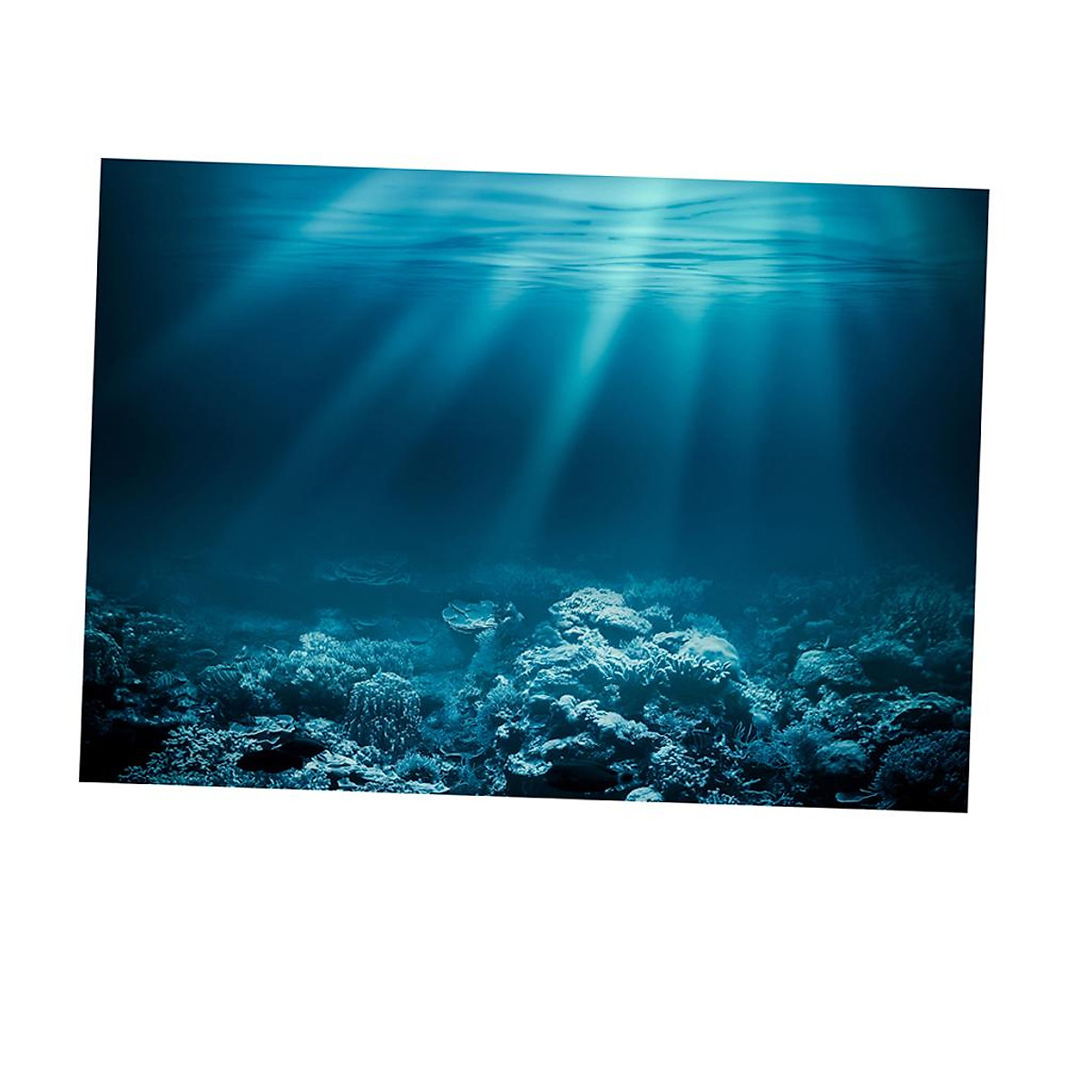 2x 3D HD Aquarium universal Landscape Poster Fish Tank Background ...
