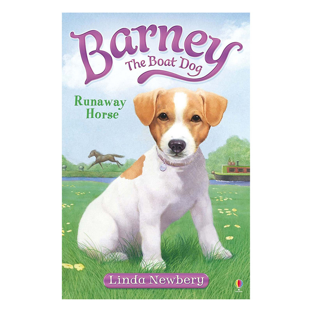 Usborne Young Fiction Barney the Boat Dog: Runaway Horse! 